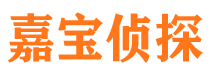 桂东侦探公司